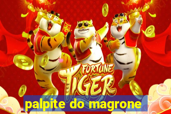 palpite do magrone